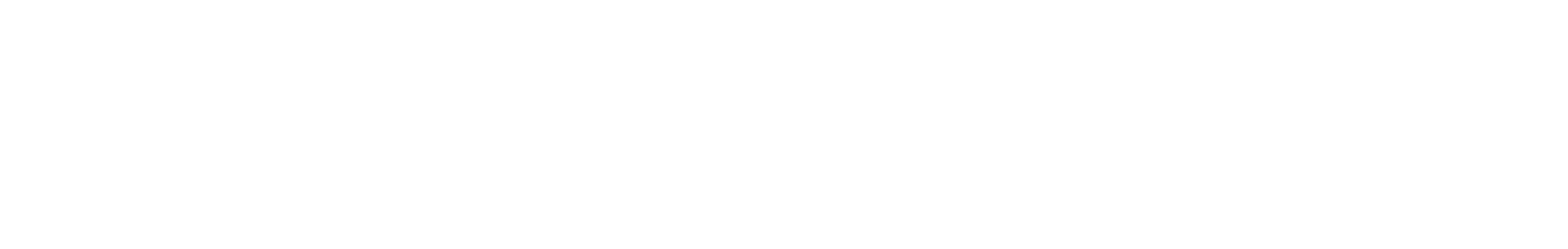 Nest Seekers International