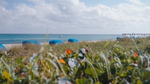 2784 S Ocean 505S — Narrated